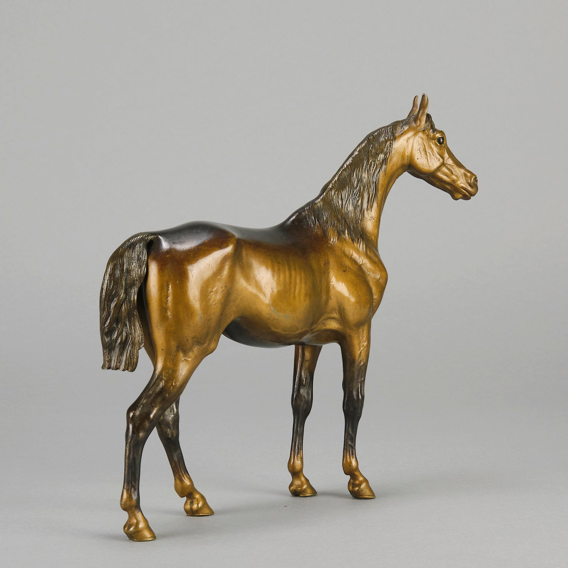 Standing Horse early 20th Century Austrian bronze study of a standing stallion by Franz Bergman - Hickmet Fine Arts