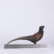 Bergman Pheasant - Franz Bergman Bronze - Hickmet Fine Arts