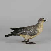 Bergman Bronze Pigeon