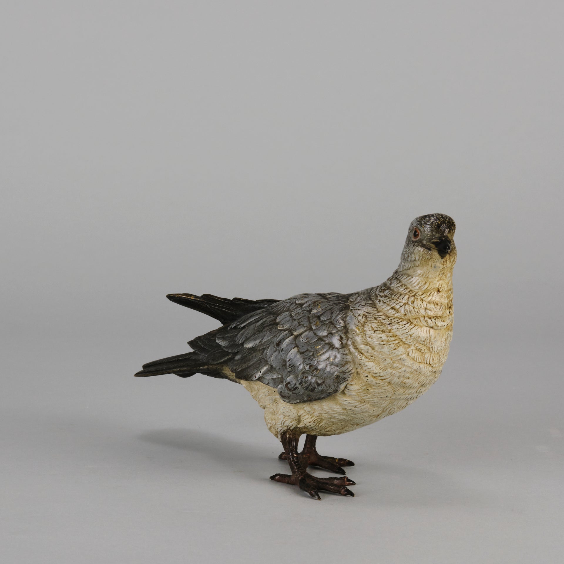 Bergman Bronze Pigeon