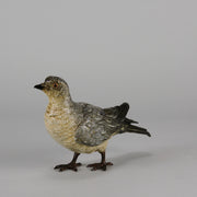 Bergman Bronze Pigeon