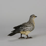 Bergman Bronze Pigeon