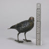 Starling Antique Bronze Statue of a Starling bird by Franz Bergman The bronze exhibiting fine naturalistic cold painted colours and very good hand finished surface detail