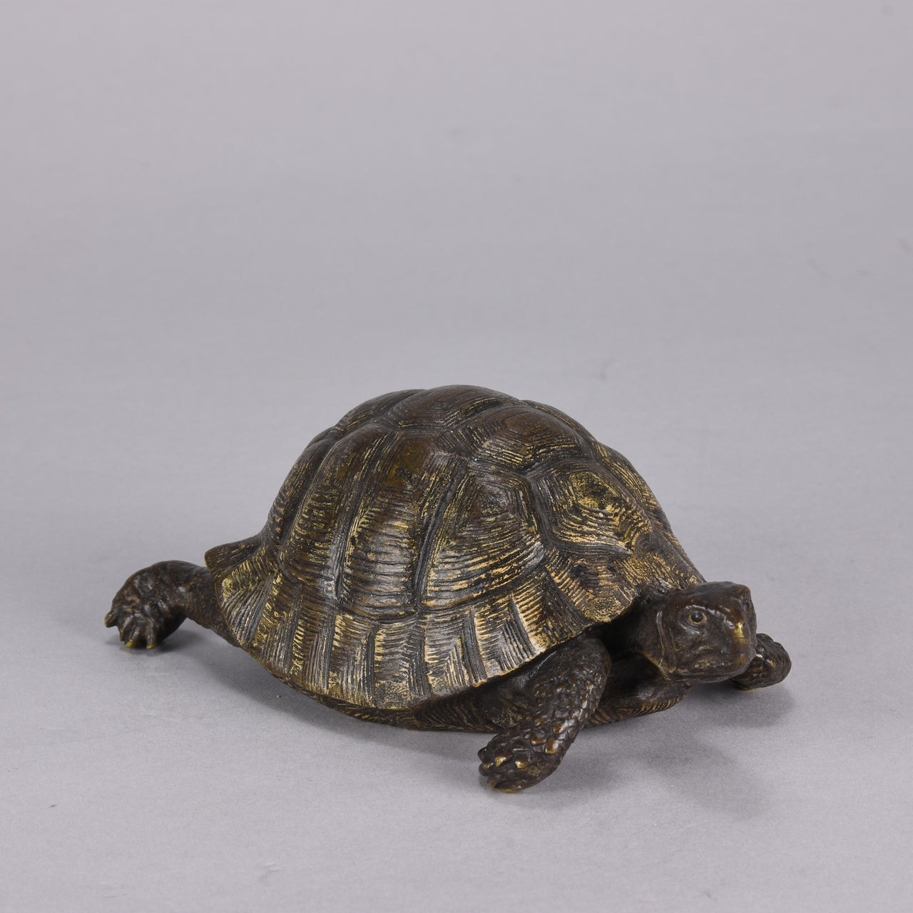 Bergman Tortoise - Franz Bergman Bronze - Hickmet Fine Arts