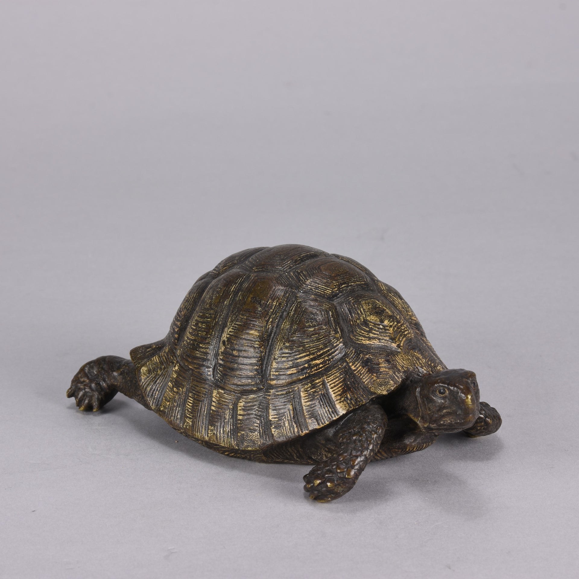 Bergman Tortoise - Franz Bergman Bronze - Hickmet Fine Arts