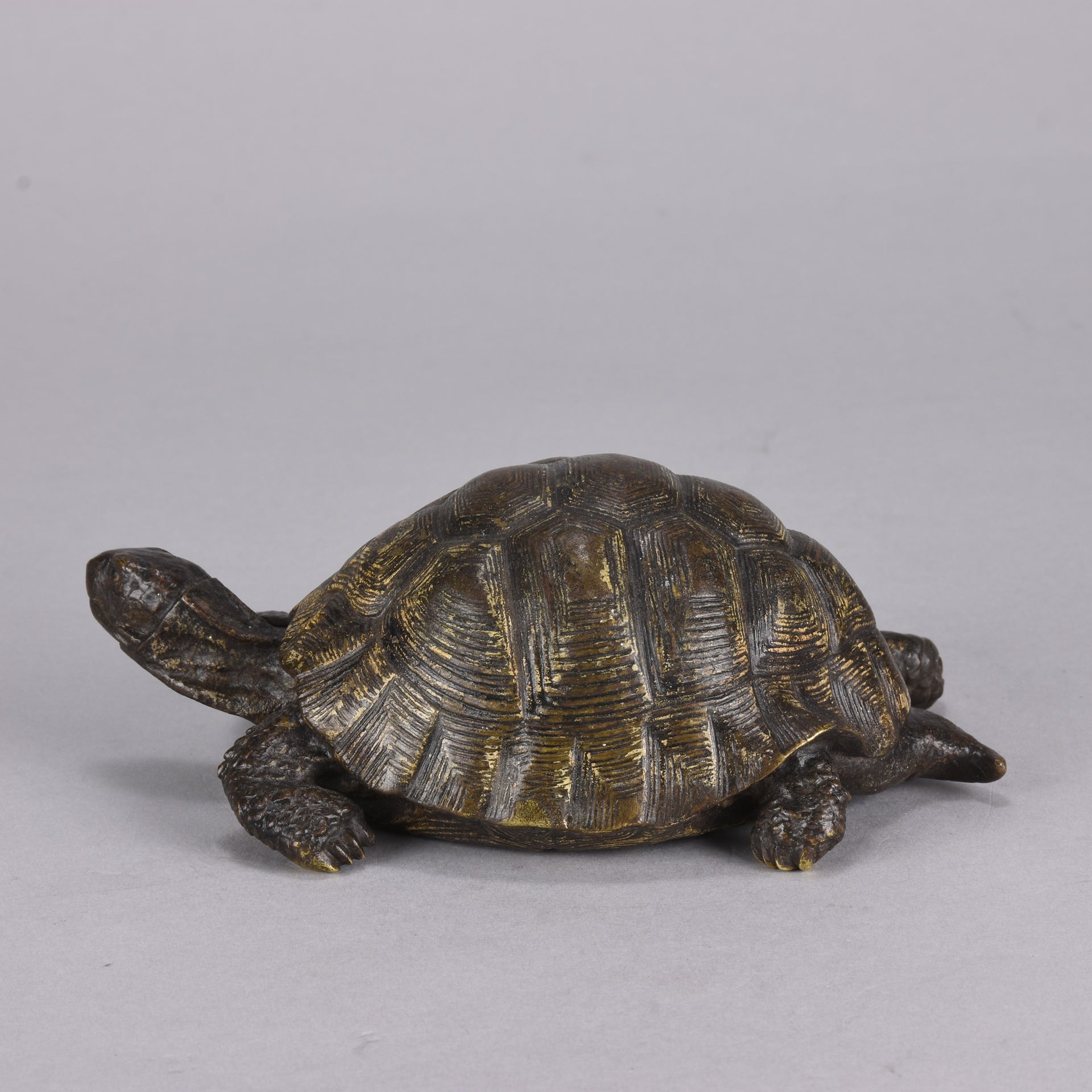 Bergman Tortoise - Franz Bergman Bronze - Hickmet Fine Arts