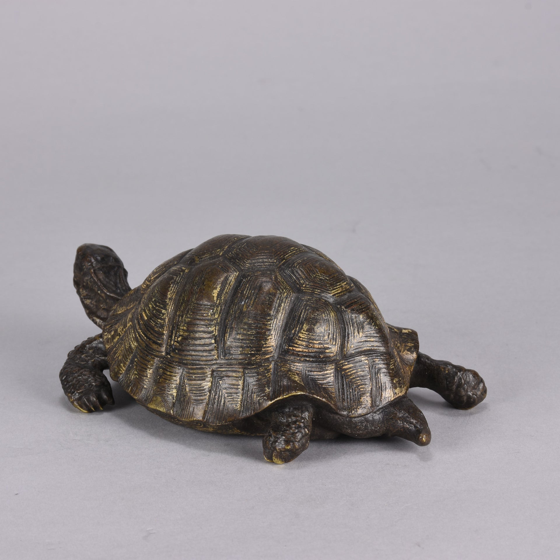 Bergman Tortoise - Franz Bergman Bronze - Hickmet Fine Arts
