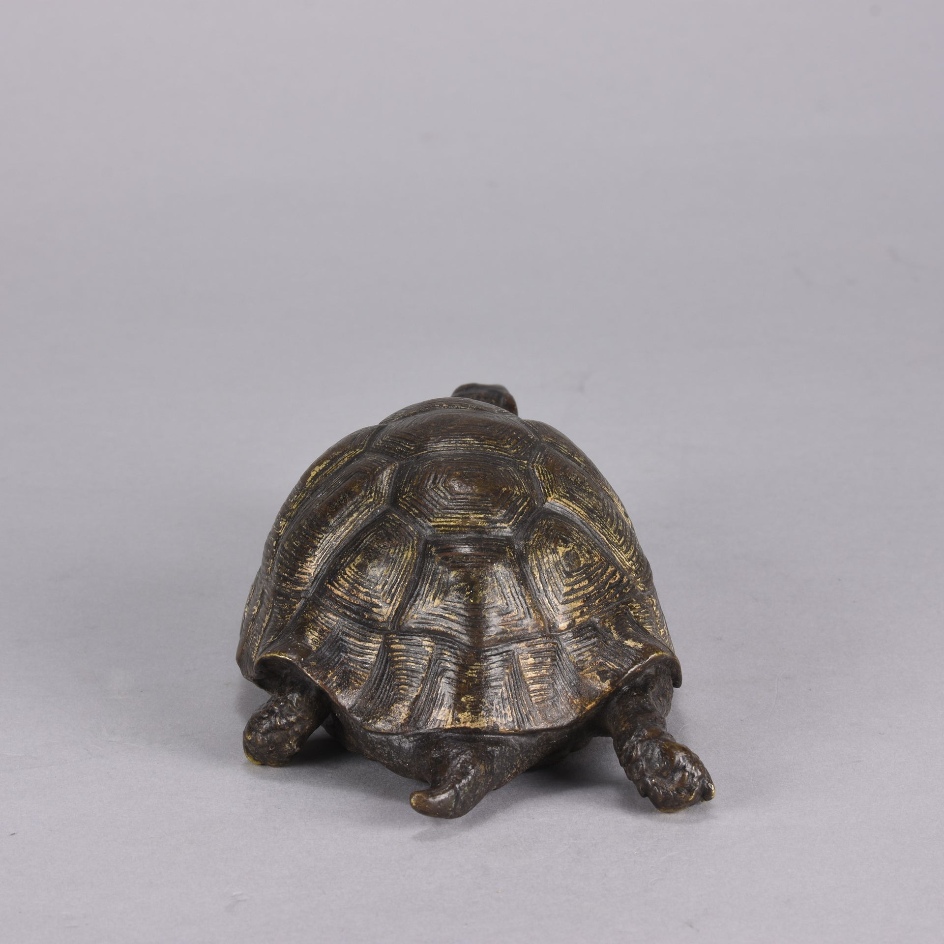 Bergman Tortoise - Franz Bergman Bronze - Hickmet Fine Arts