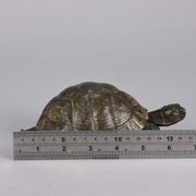 Bergman Tortoise - Franz Bergman Bronze - Hickmet Fine Arts