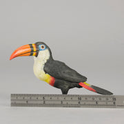 Toucan by Franz Bergman a very fine early 20th Century Austrian bronze study of a standing Toucan with excellent hand chased surface detail and good naturalistic colour