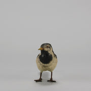 Bergman Wagtail - Austrian Cold Painted Bronze - Hickmet Fine Arts