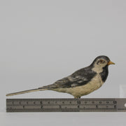 Bergman Wagtail - Austrian Cold Painted Bronze - Hickmet Fine Arts