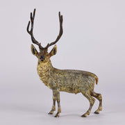 Bergman Stag - Franz Bergman Bronze - Hickmet Fine Arts