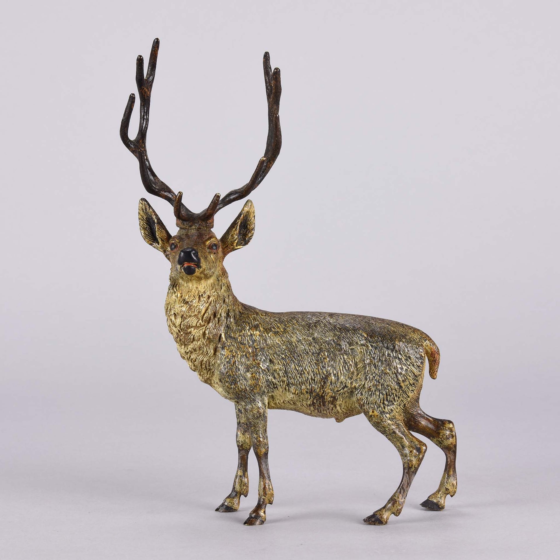 Bergman Stag - Franz Bergman Bronze - Hickmet Fine Arts