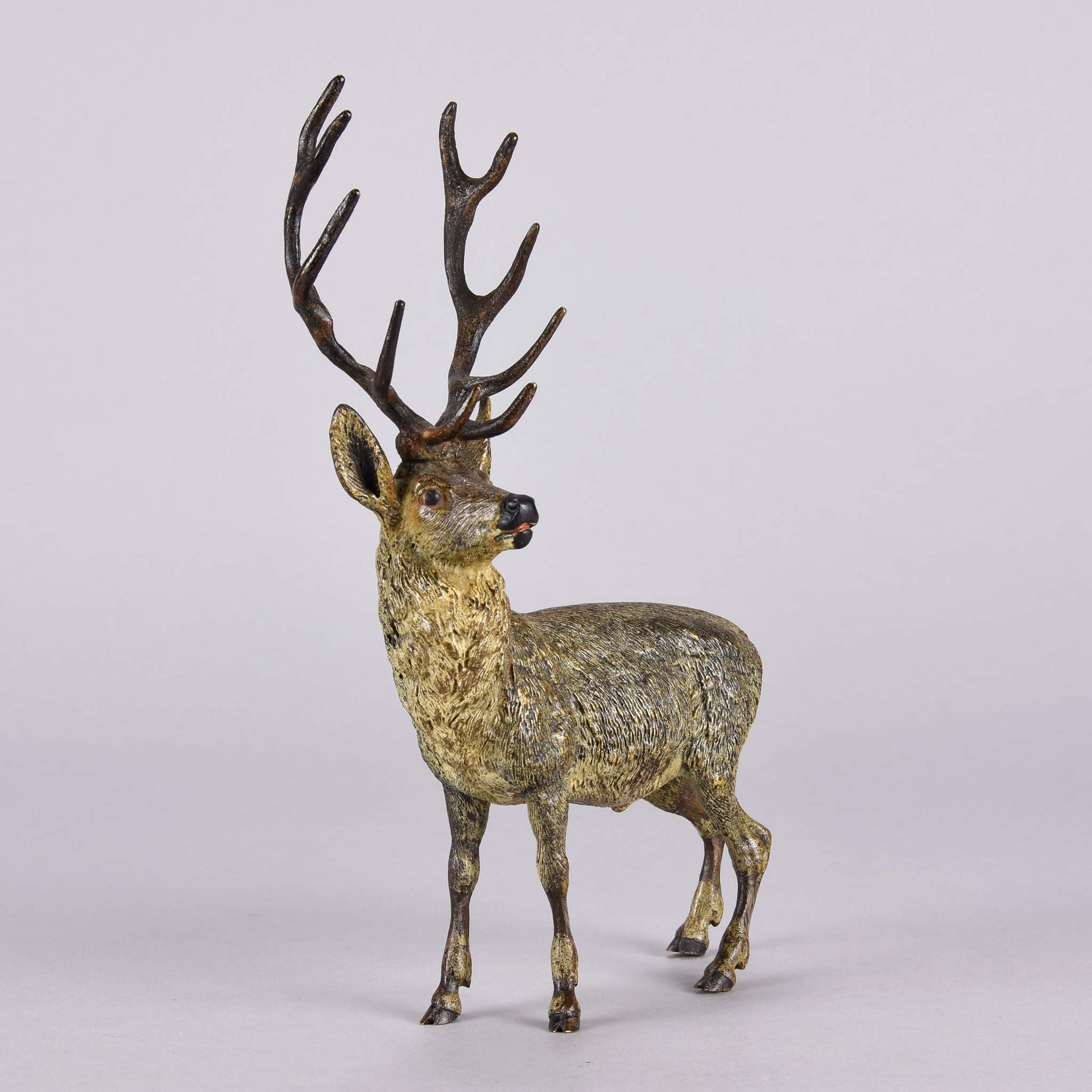 Bergman Stag - Franz Bergman Bronze - Hickmet Fine Arts