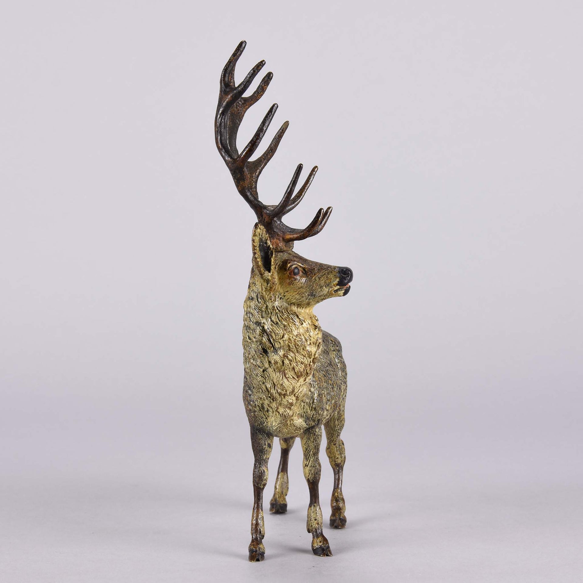 Bergman Stag - Franz Bergman Bronze - Hickmet Fine Arts
