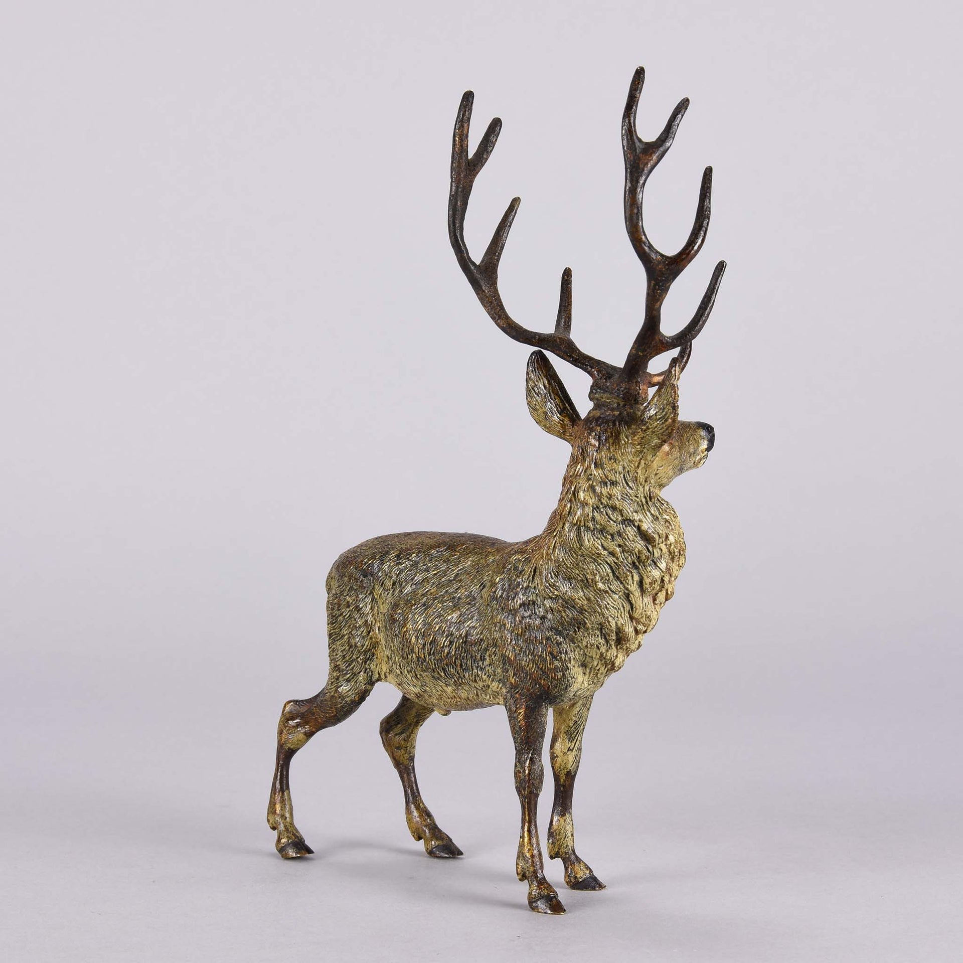 Bergman Stag - Franz Bergman Bronze - Hickmet Fine Arts