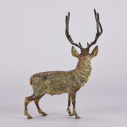 Bergman Stag - Franz Bergman Bronze - Hickmet Fine Arts