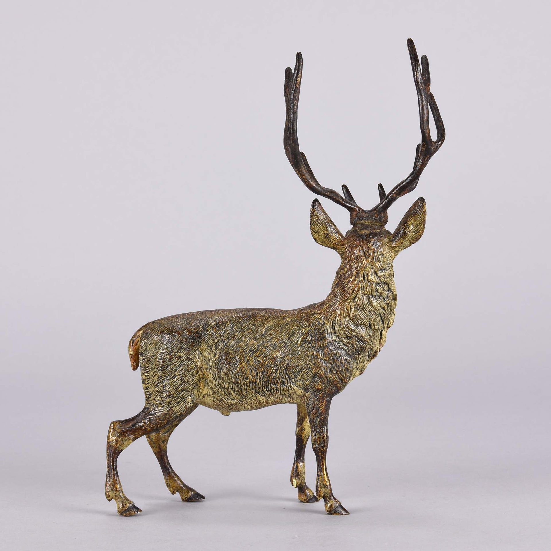 Bergman Stag - Franz Bergman Bronze - Hickmet Fine Arts