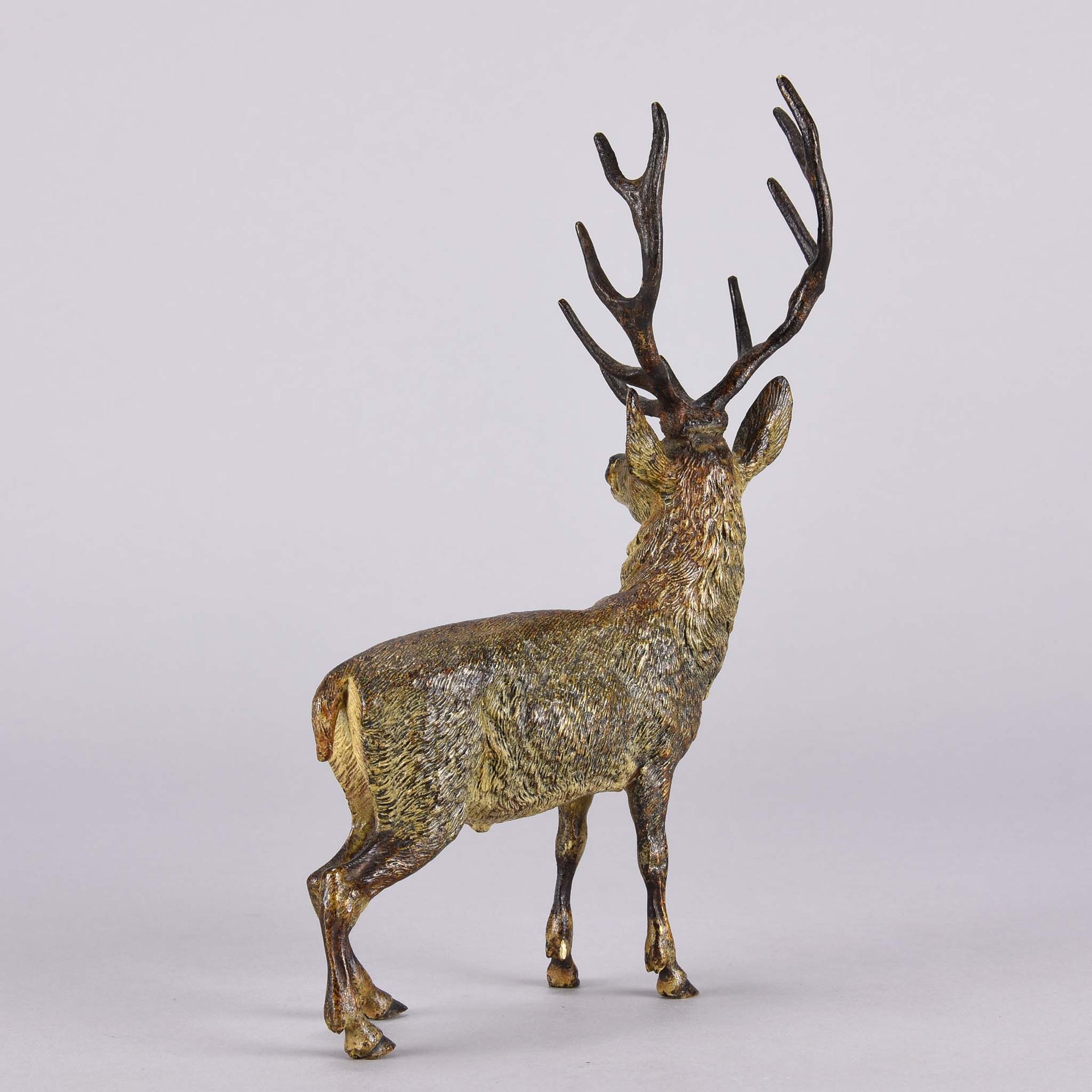 Bergman Stag - Franz Bergman Bronze - Hickmet Fine Arts