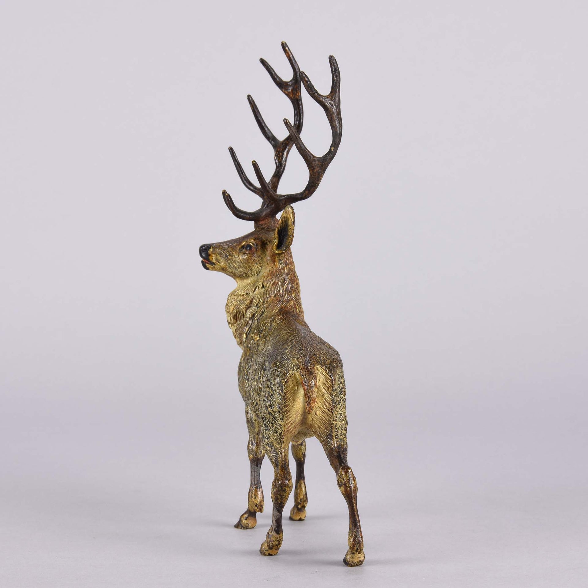 Bergman Stag - Franz Bergman Bronze - Hickmet Fine Arts