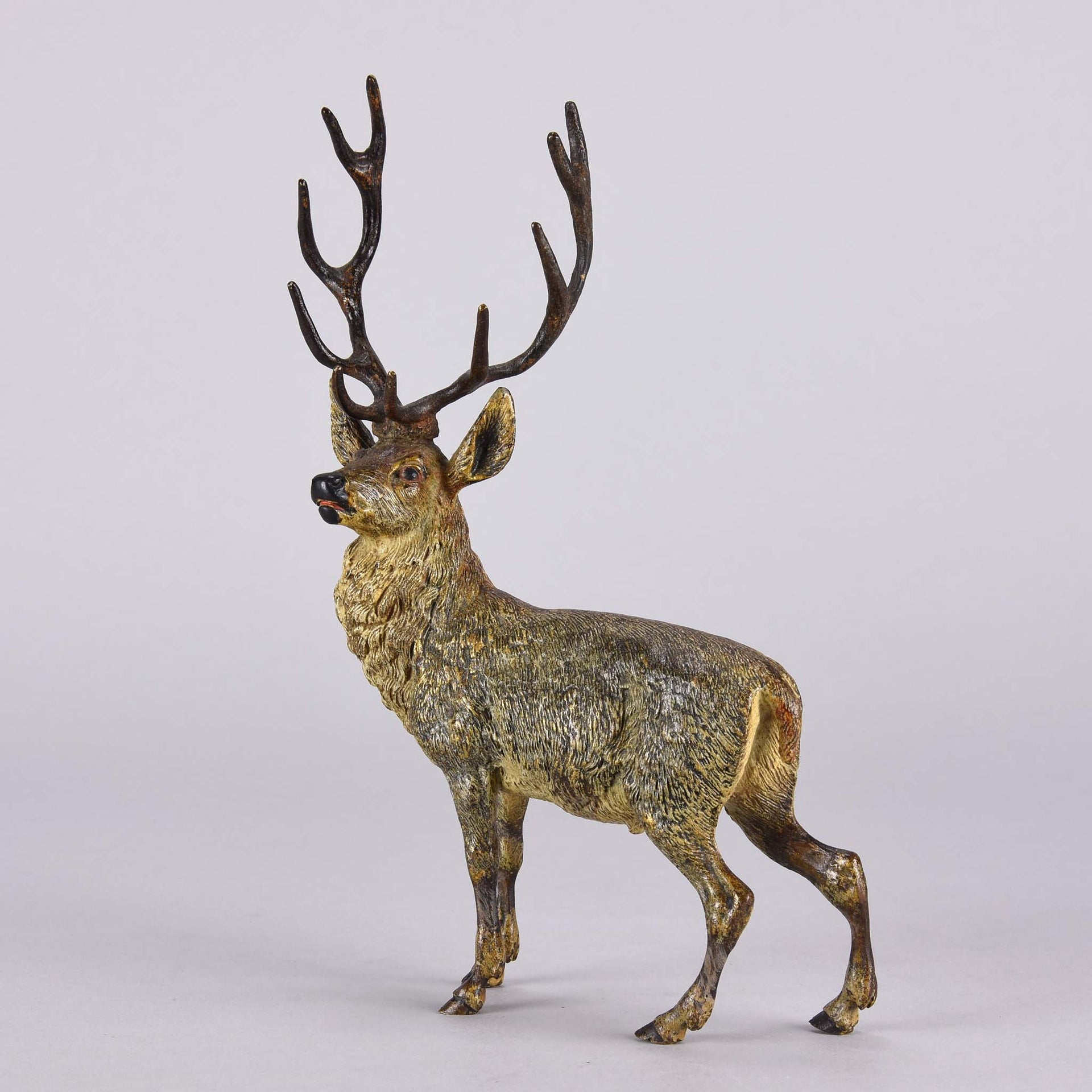 Bergman Stag - Franz Bergman Bronze - Hickmet Fine Arts