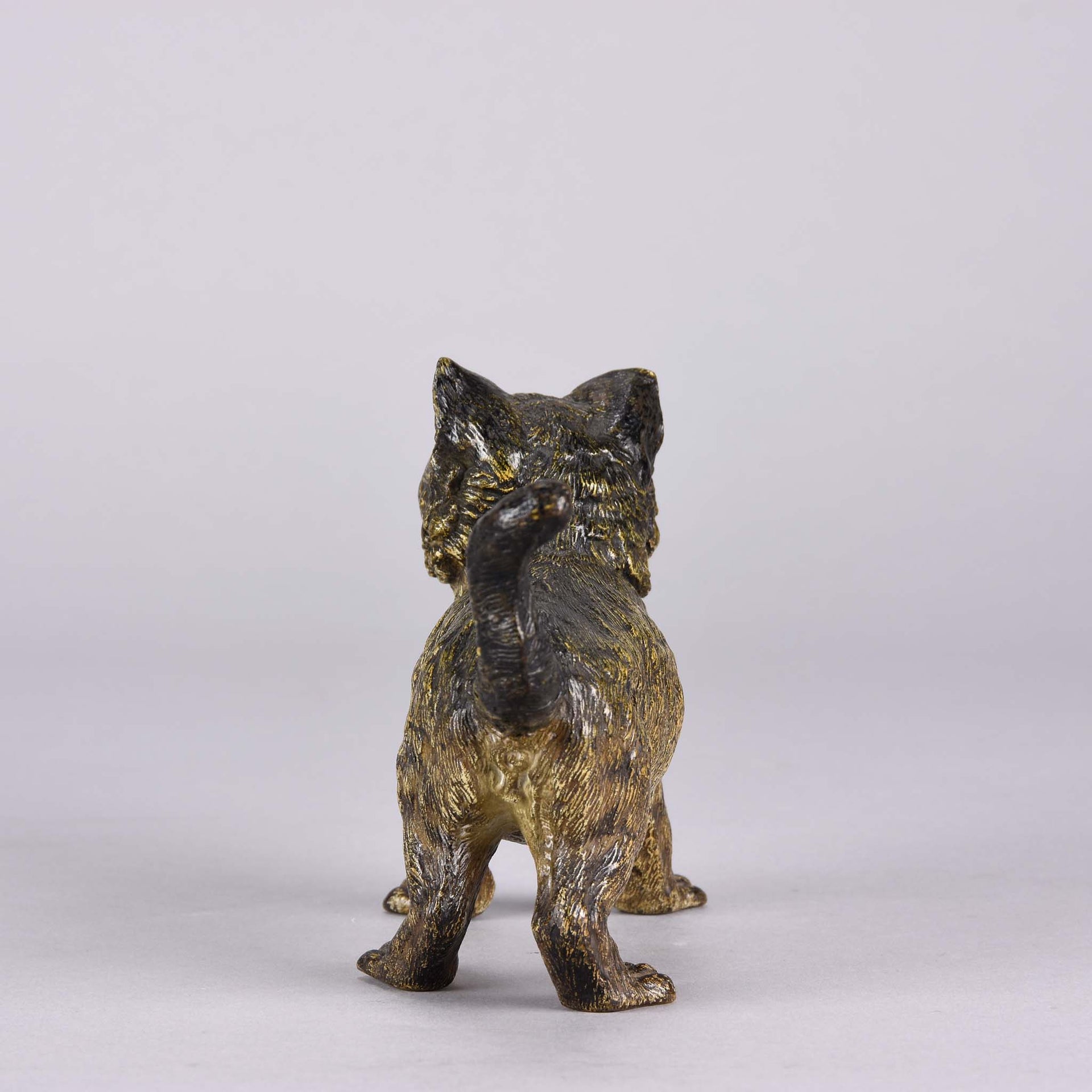 Bergman Cat - Franz Bergman Bronze - Hickmet Fine Arts