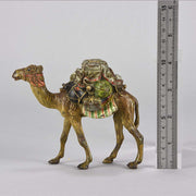 Bergman Camel Austrian Bronze Study 