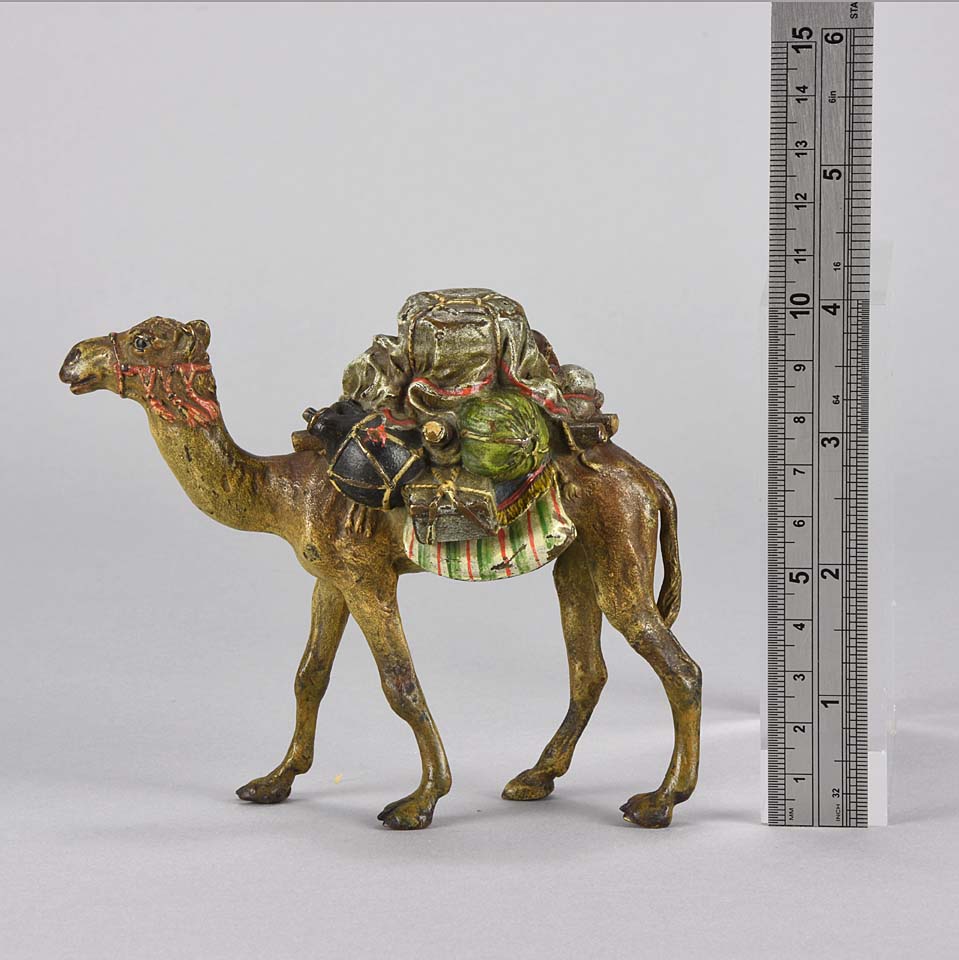 Bergman Camel Austrian Bronze Study 