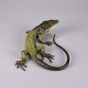 Franz Bergman Lizard- Austrian Bronze - Hickmet Fine Arts