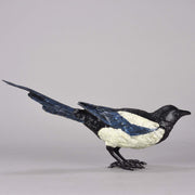 Bergman Magpie - Franz Bergman Austrian Bronze - Hickmet Fine Arts