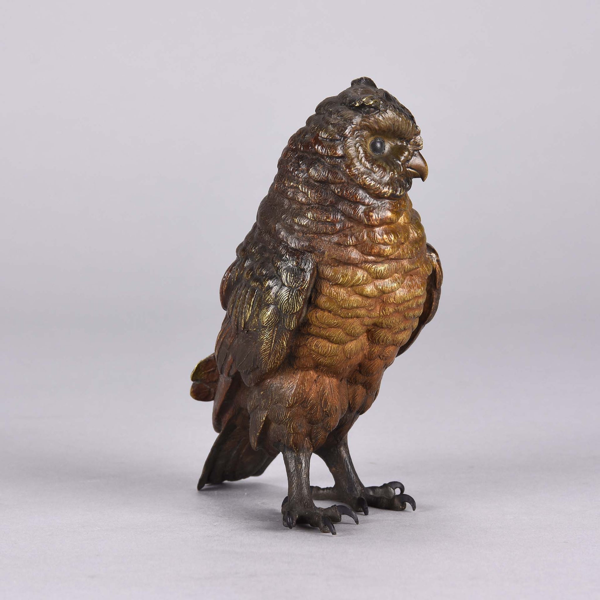 Bergman bronze owl