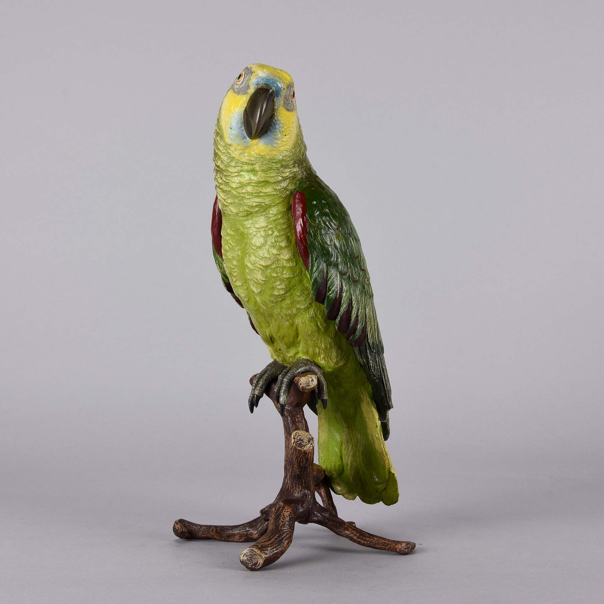 Bergman Bronze Parrot