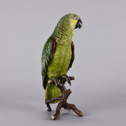 Bergman Bronze Parrot