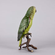 Bergman Bronze Parrot