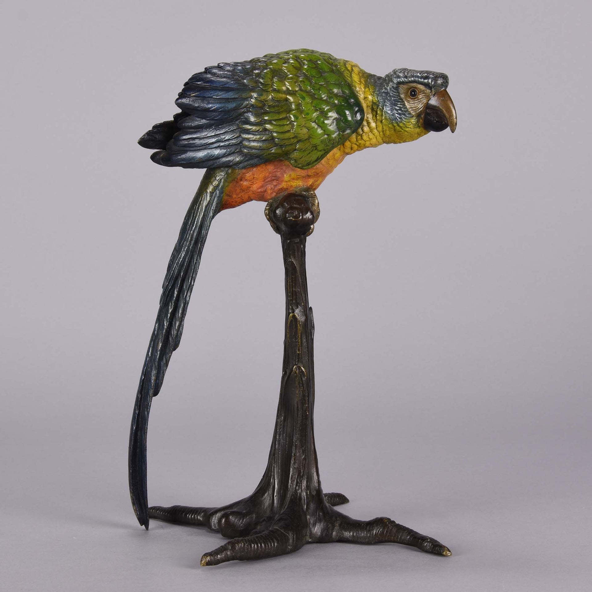 Bergman Parrot on a Branch - Franz Bergman Bronze - Hickmet Fine Arts