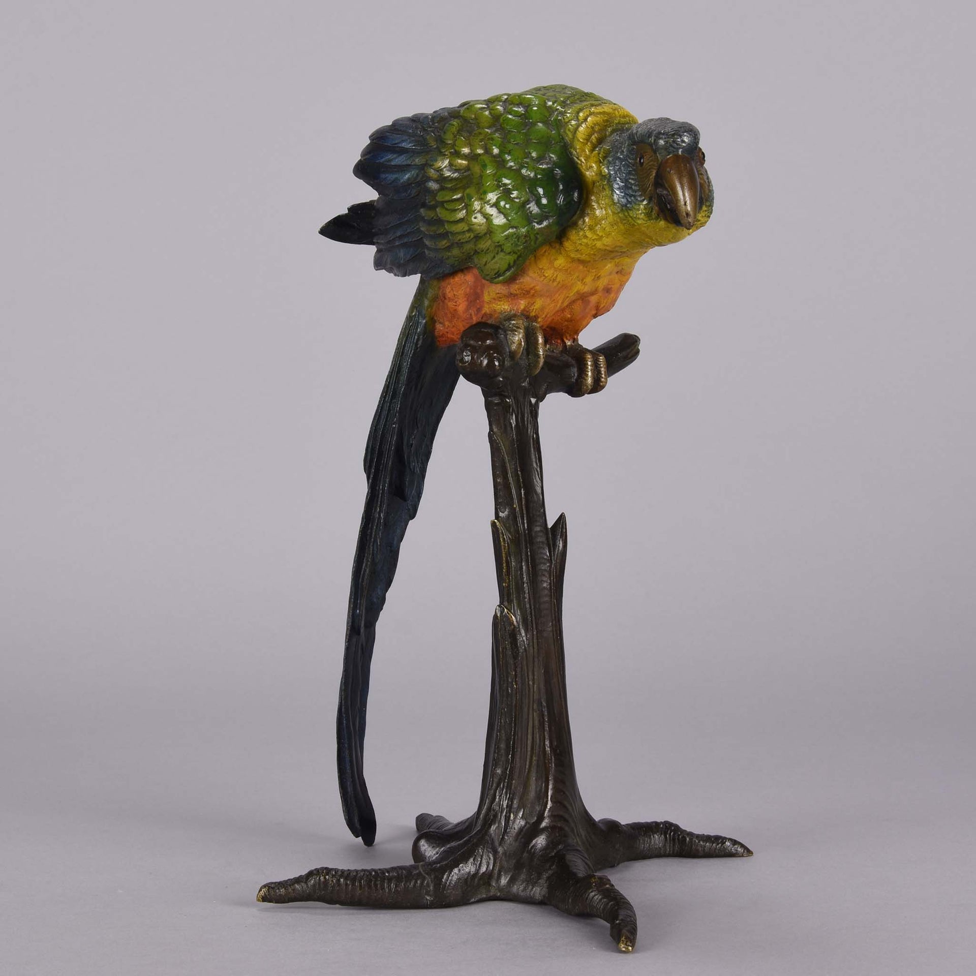 Bergman Parrot on a Branch - Franz Bergman Bronze - Hickmet Fine Arts