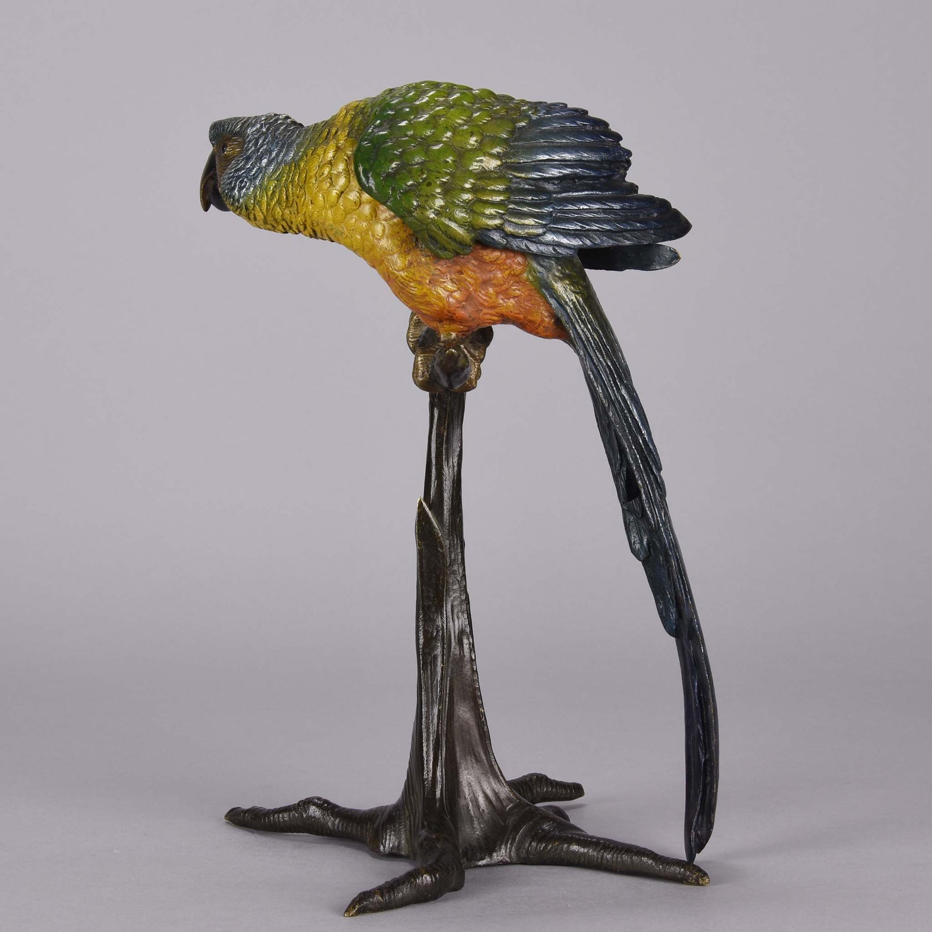 Bergman Parrot on a Branch - Franz Bergman Bronze - Hickmet Fine Arts