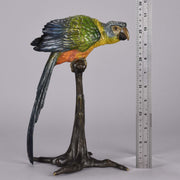 Bergman Parrot on a Branch - Franz Bergman Bronze - Hickmet Fine Arts