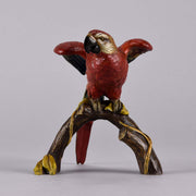Franz Xavier Bergman Bronze - Macaw - Hickmet Fine Arts