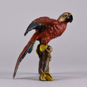 Franz Xavier Bergman Bronze - Macaw - Hickmet Fine Arts