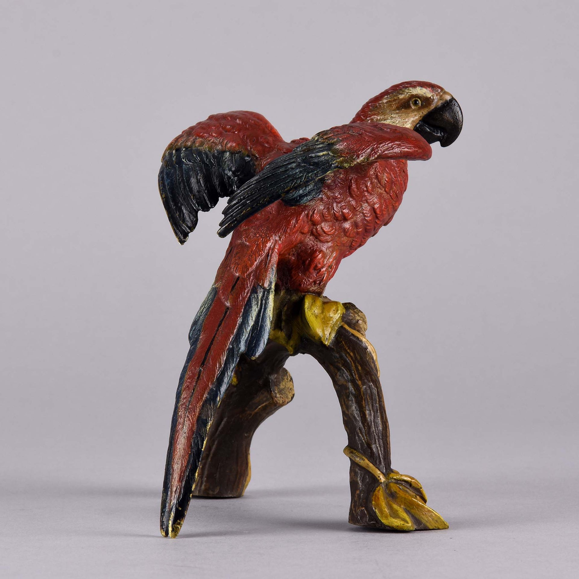 Franz Xavier Bergman Bronze - Macaw - Hickmet Fine Arts