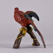 Franz Xavier Bergman Bronze - Macaw - Hickmet Fine Arts