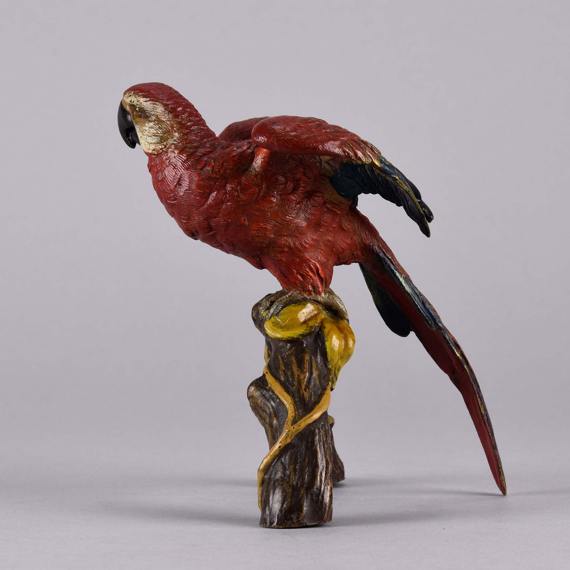 Franz Xavier Bergman Bronze - Macaw - Hickmet Fine Arts