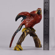 Franz Xavier Bergman Bronze - Macaw - Hickmet Fine Arts