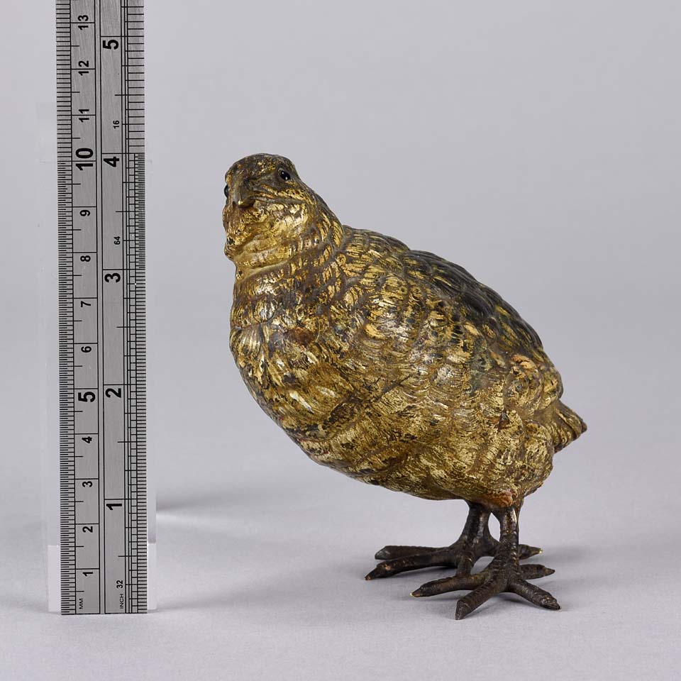 Franz Bergman Partridge - Austrian Bronze Bird - Hickmet Fine Arts