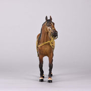 Bergman bronze horse