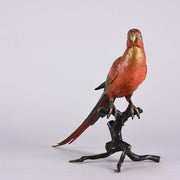 Bergman Macaw - Franz Bergman Austrian Bronze - Hickmet Fine Arts 