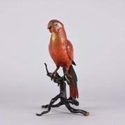 Bergman Macaw - Franz Bergman Austrian Bronze - Hickmet Fine Arts 