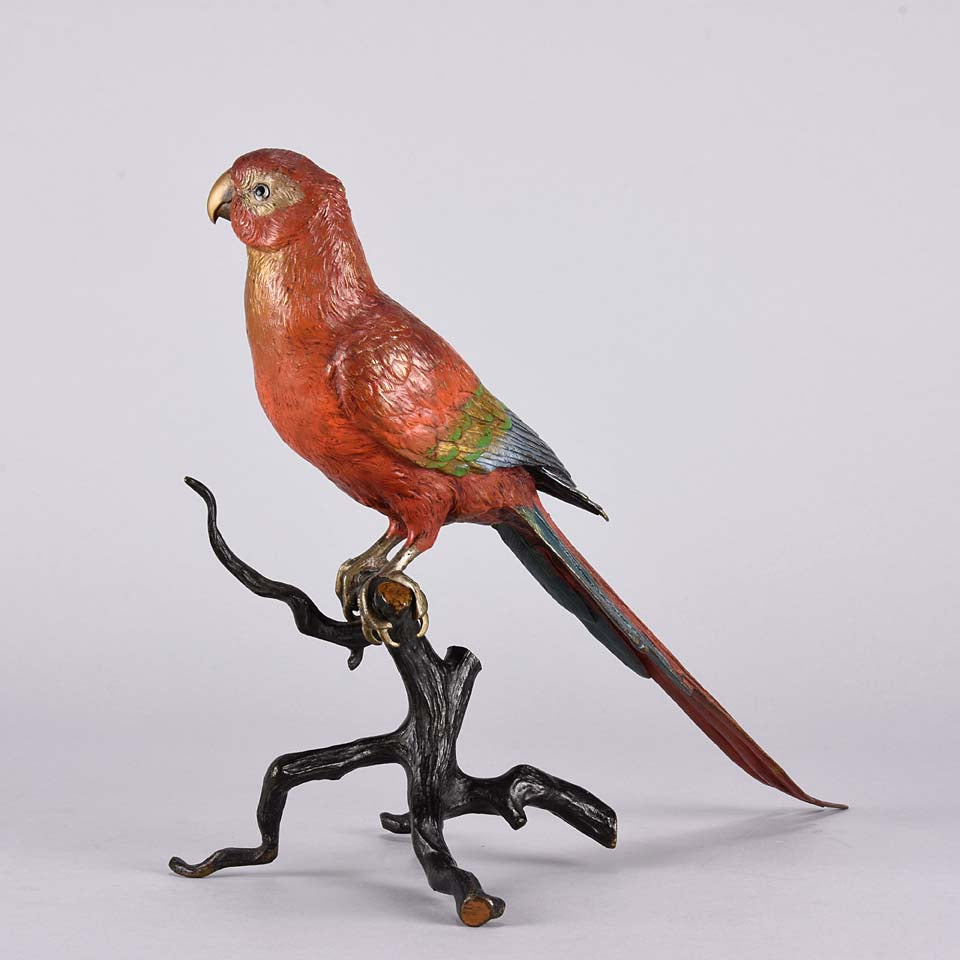 Bergman Macaw - Franz Bergman Austrian Bronze - Hickmet Fine Arts 
